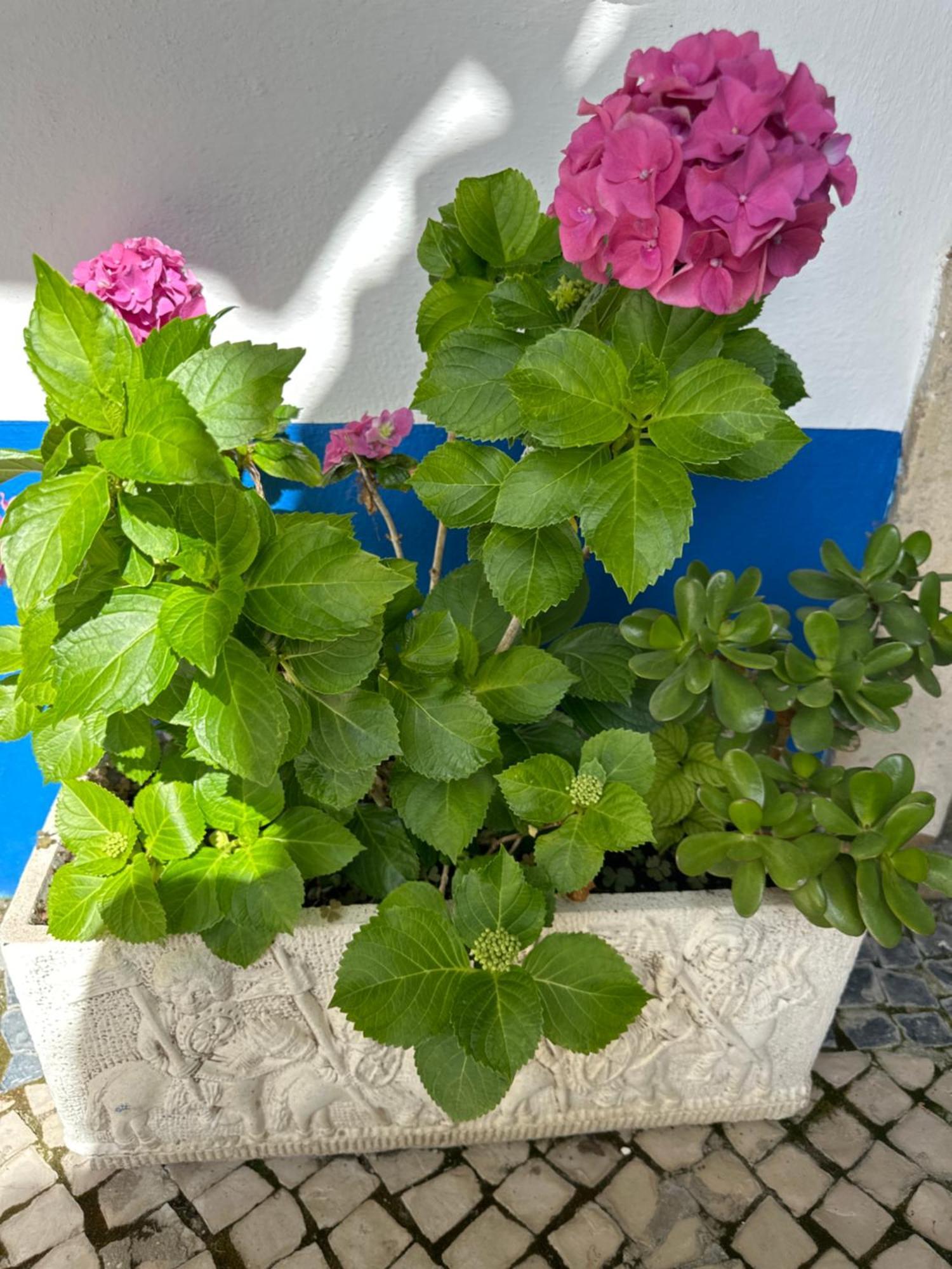 مبيت وإفطار Óbidos Casa Do Poco المظهر الخارجي الصورة