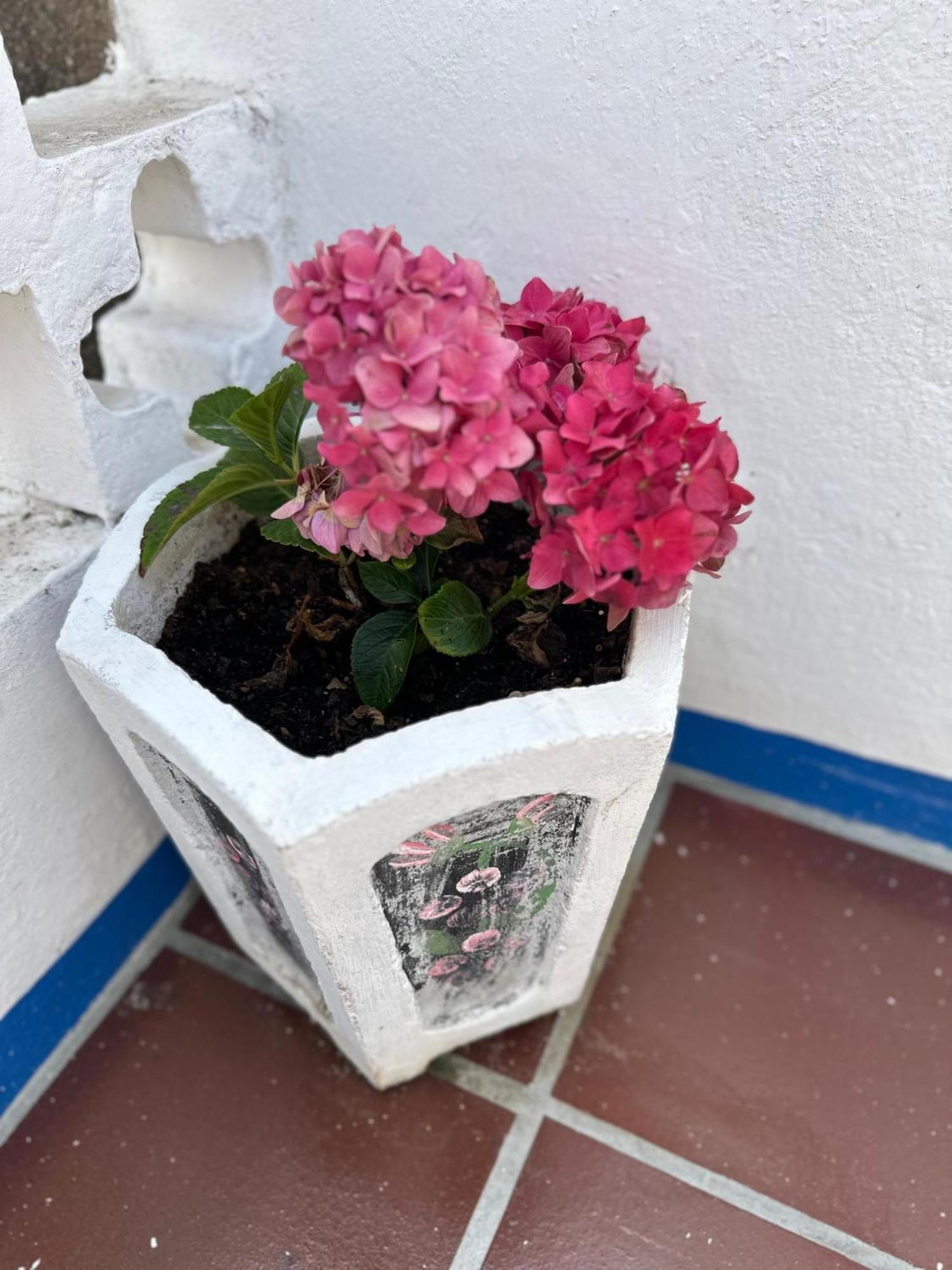 مبيت وإفطار Óbidos Casa Do Poco المظهر الخارجي الصورة